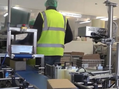 探秘奶酪工廠 從牛奶到美味的奇幻之旅